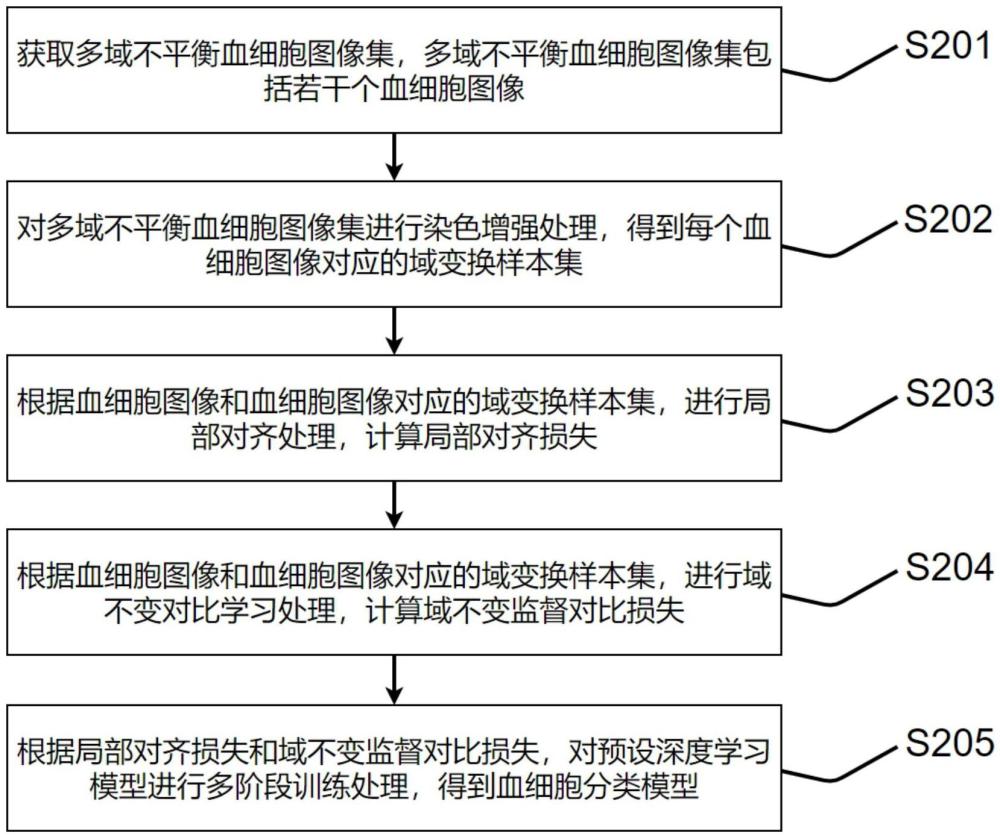 一種多域不平衡血細(xì)胞分類方法、裝置及存儲(chǔ)介質(zhì)