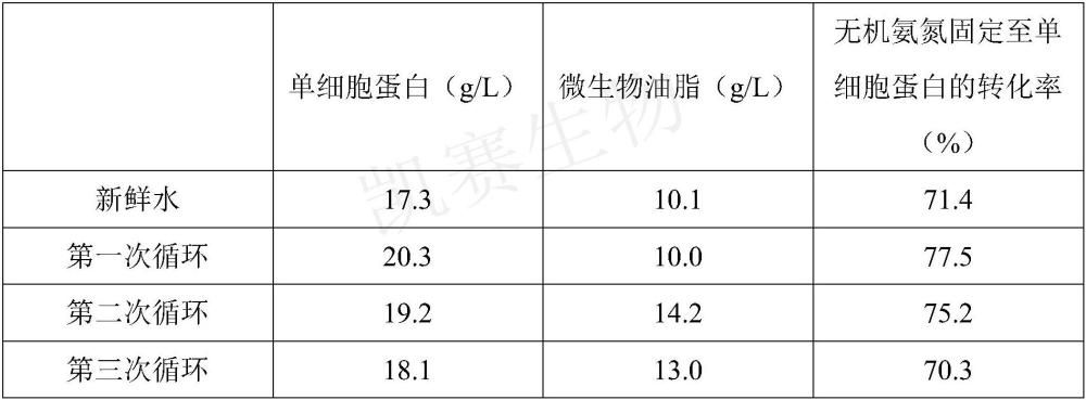 一種利用木質(zhì)纖維素和廉價(jià)無(wú)機(jī)氮源聯(lián)產(chǎn)單細(xì)胞蛋白和微生物油脂的方法與流程