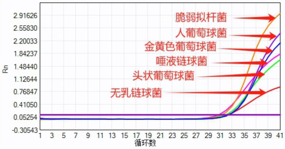 用于檢測血流感染相關(guān)病原體的組合物的制作方法