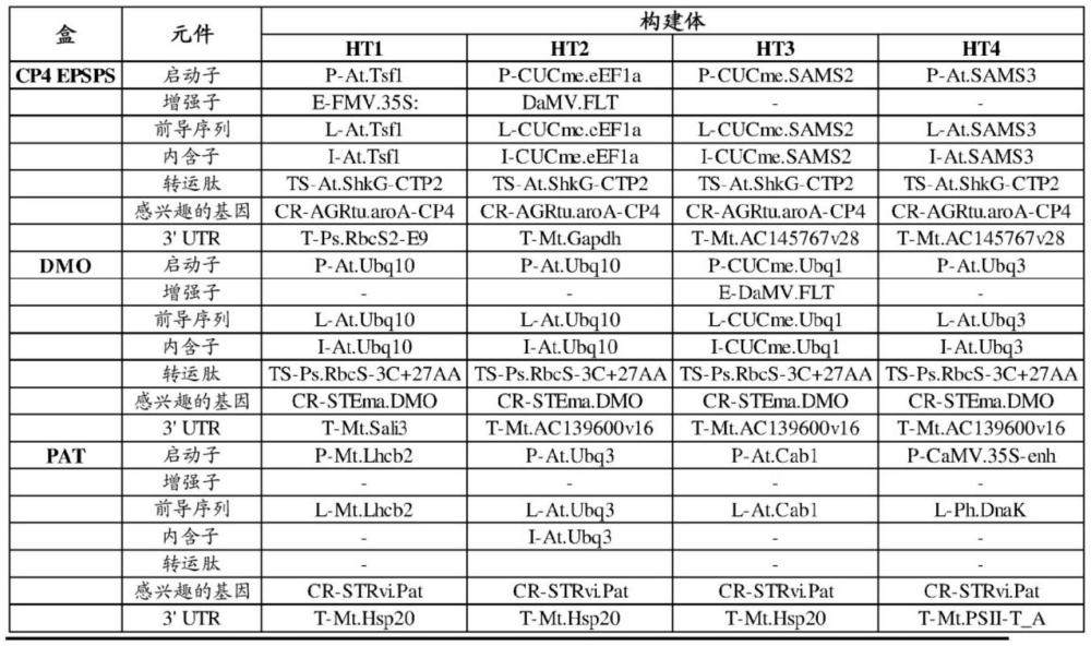 轉(zhuǎn)基因甜菜品系BV_CSM63713及其檢測方法和用途與流程