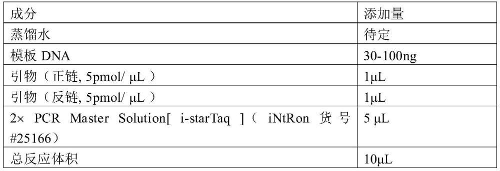 一种构建滑膜肉瘤转基因小鼠动物实验模型的方法