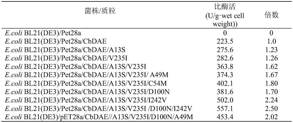 D-阿洛酮糖轉(zhuǎn)化酶突變體及應用