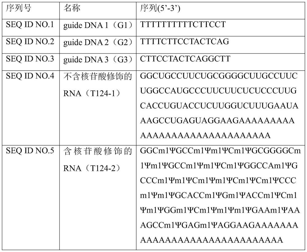 基于可編程酶法檢測mRNA的Poly A尾長度的方法與流程