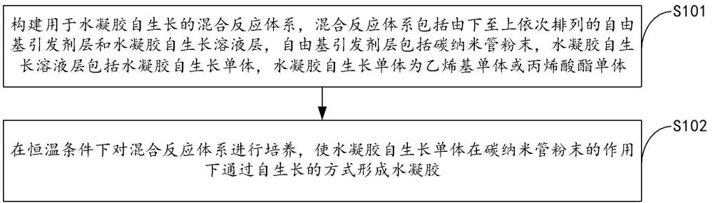 以碳納米管為引發(fā)劑的自生長水凝膠制備方法及水凝膠