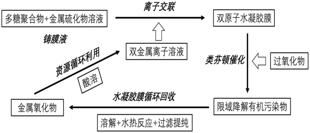 一種含雙原子位點的水凝膠催化膜及限域凈水應(yīng)用