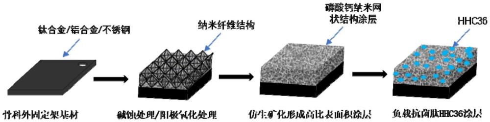 穩(wěn)定抗菌肽的抗菌涂層及其制備方法與應(yīng)用