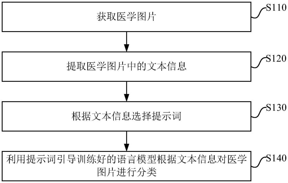 醫(yī)學圖片自動分類方法、裝置、電子設備及存儲介質與流程