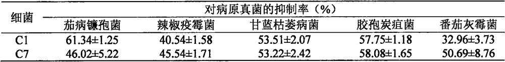 防治植物真菌病害的克羅諾桿菌組合