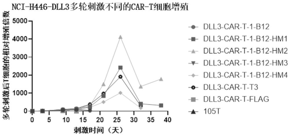 抗DLL3的納米抗體、嵌合抗原受體及其應用的制作方法