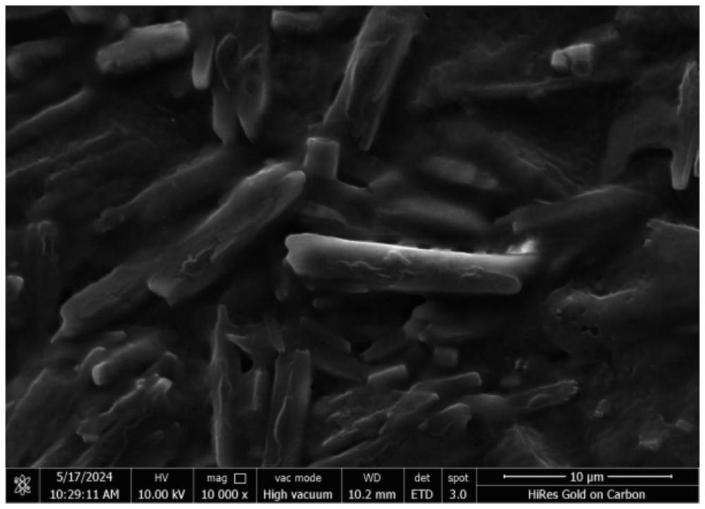 文石纖維及其制備方法、水泥基材料、水泥制件