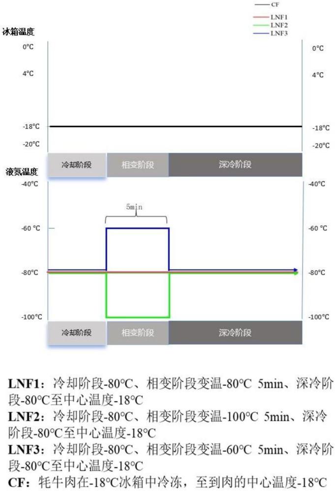 一種三段式變溫液氮速凍保鮮牛肉的方法與應用