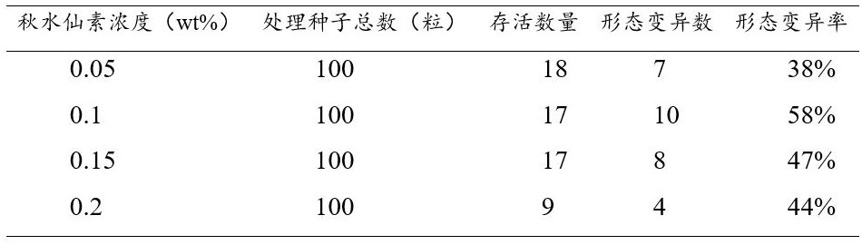 一種降低多倍化色素萬壽菊嵌合體的方法