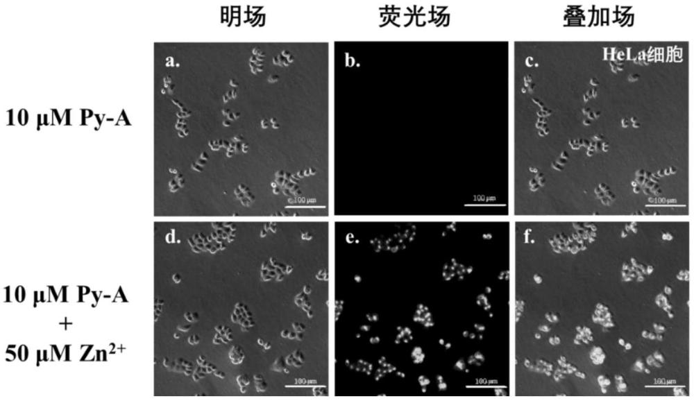 一種芘基席夫堿熒光衍生物、熒光探針及其制備方法和生物成像的應(yīng)用