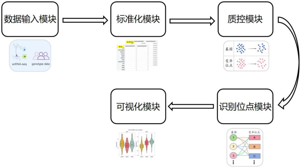 一種基于高通量多組學(xué)測(cè)序的單細(xì)胞基因表達(dá)數(shù)量性狀位點(diǎn)識(shí)別方法及系統(tǒng)