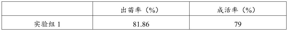 一種MOF基嗜鹽微生物菌劑及其制備方法和應(yīng)用與流程