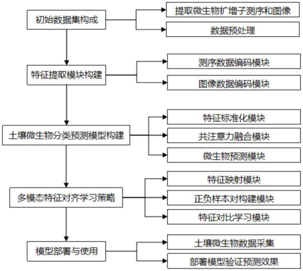 一種基于深度學(xué)習(xí)的土壤微生物分類方法與流程