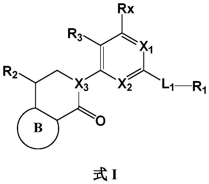 羥基取代的二氫異喹啉酮類化合物及其制備方法和應(yīng)用與流程