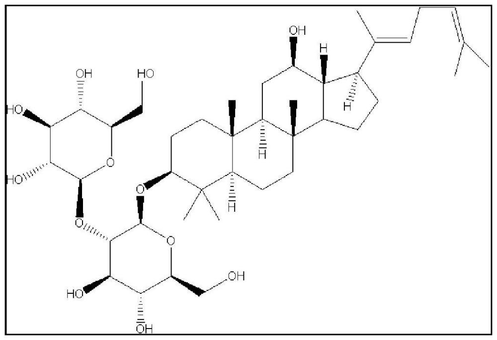 含人參皂苷Rg5的組合物在制備美白祛斑、抗氧化產(chǎn)品中的應(yīng)用的制作方法