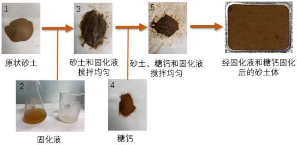 一種微生物聯(lián)合糖鈣固化風(fēng)積砂和抗風(fēng)蝕的方法