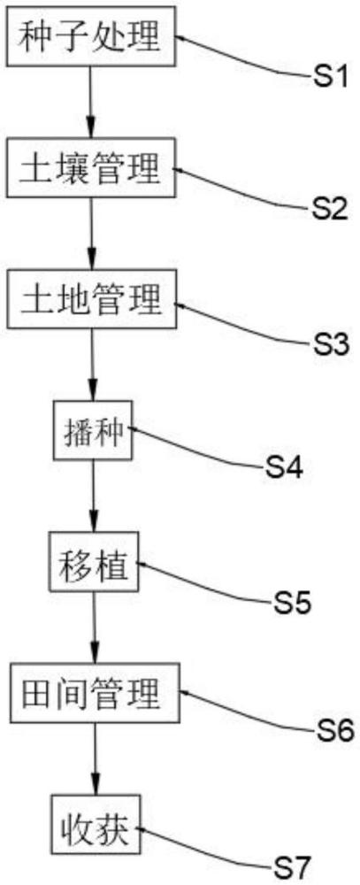 一種蘆筍莖枯病防治方法