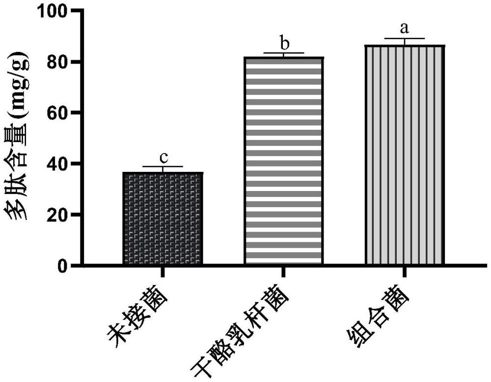 一株干酪乳桿菌或其組合菌劑在發(fā)酵制備多肽中的應(yīng)用