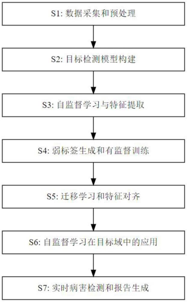 一種基于自監(jiān)督學習的植物病害目標檢測方法