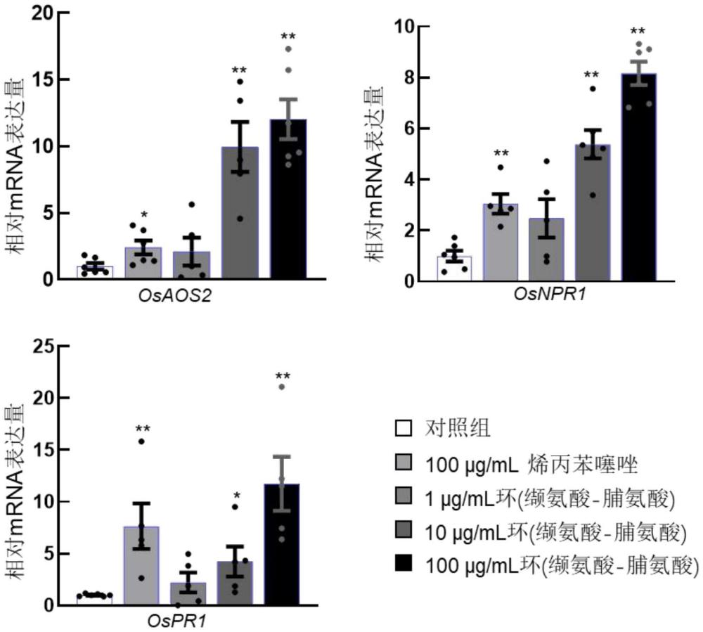 一種小分子活性肽環(huán)在增強(qiáng)植物免疫功能的應(yīng)用