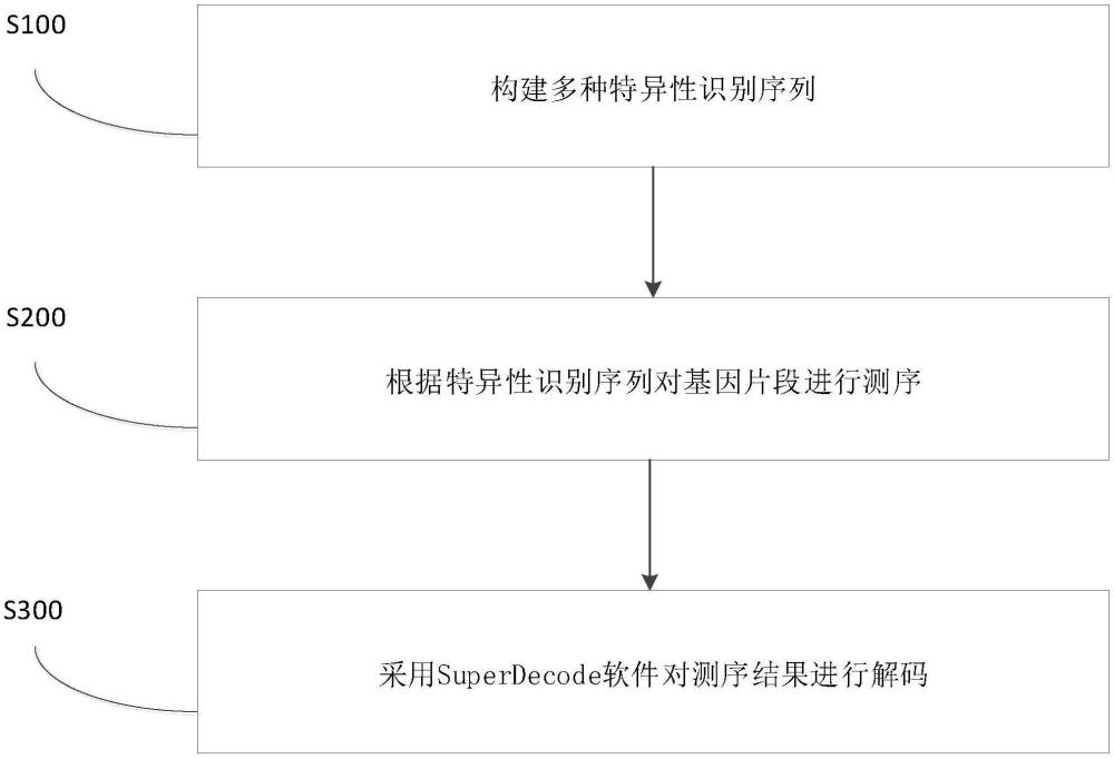 一種用于基因編輯材料檢測(cè)的方法及系統(tǒng)