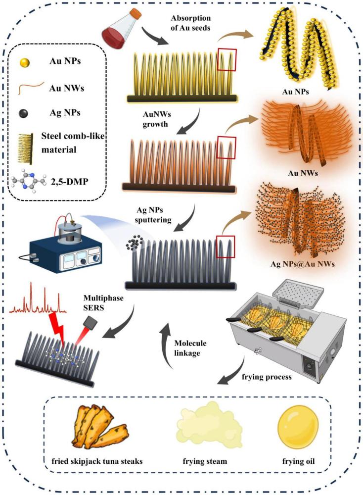 用于檢測(cè)2，5-DMP的Ag NPs@Aw NWs SERS芯片的制備方法及其實(shí)時(shí)監(jiān)測(cè)鰹魚(yú)排油炸油品質(zhì)的方法