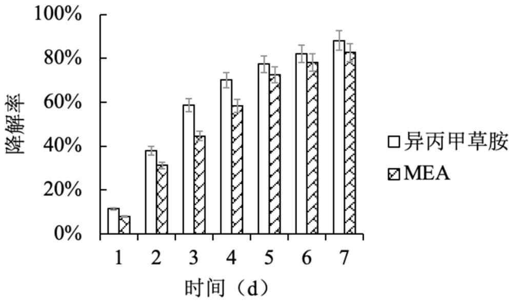 假單胞桿菌WH-3及其應(yīng)用的制作方法