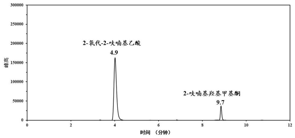 一種半乳糖氧化酶突變體及其在制備2-氧代-2-呋喃基乙酸中應(yīng)用