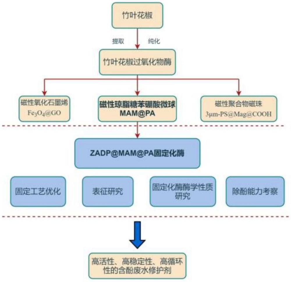 一種竹葉花椒過氧化物酶固定化酶及其制備方法和用途