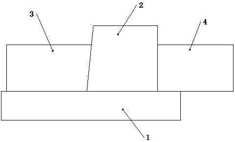 一種免調(diào)節(jié)的光學(xué)標(biāo)記閱讀裝置的制作方法