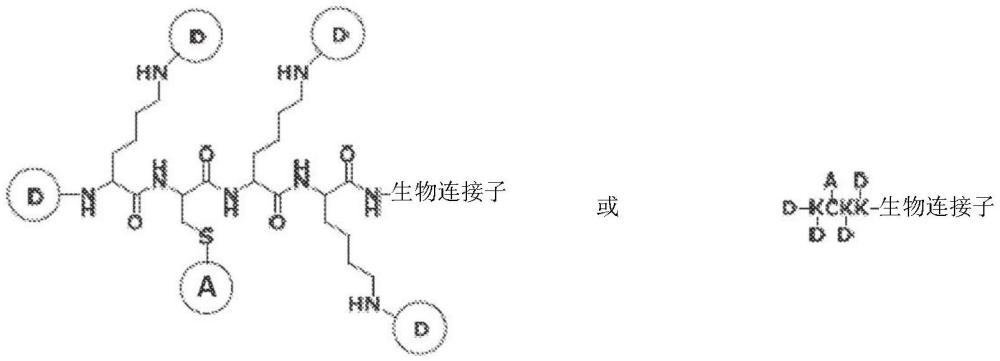 含側(cè)基發(fā)色團(tuán)的水溶性聚合染料的制作方法