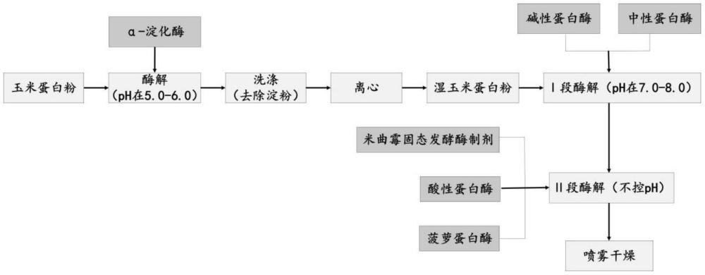 一種高蛋白含量的酶解玉米蛋白粉加工方法與流程