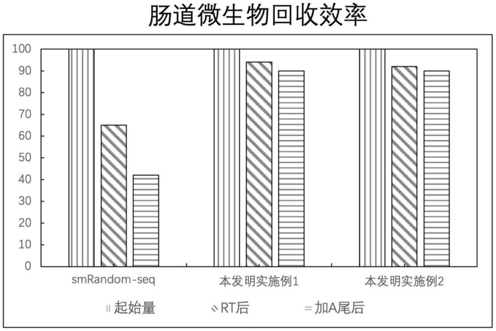 單菌轉(zhuǎn)錄組測序方法與流程