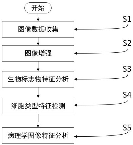 一種基于人工智能的水質(zhì)檢測(cè)方法及系統(tǒng)與流程