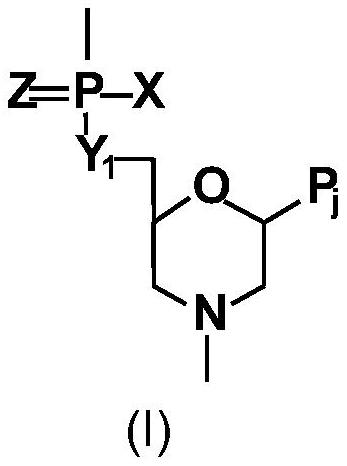 用于DMD的多外顯子跳躍組合物的制作方法