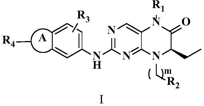 含稠合苯環(huán)的二氫喋啶酮衍生物及其用途