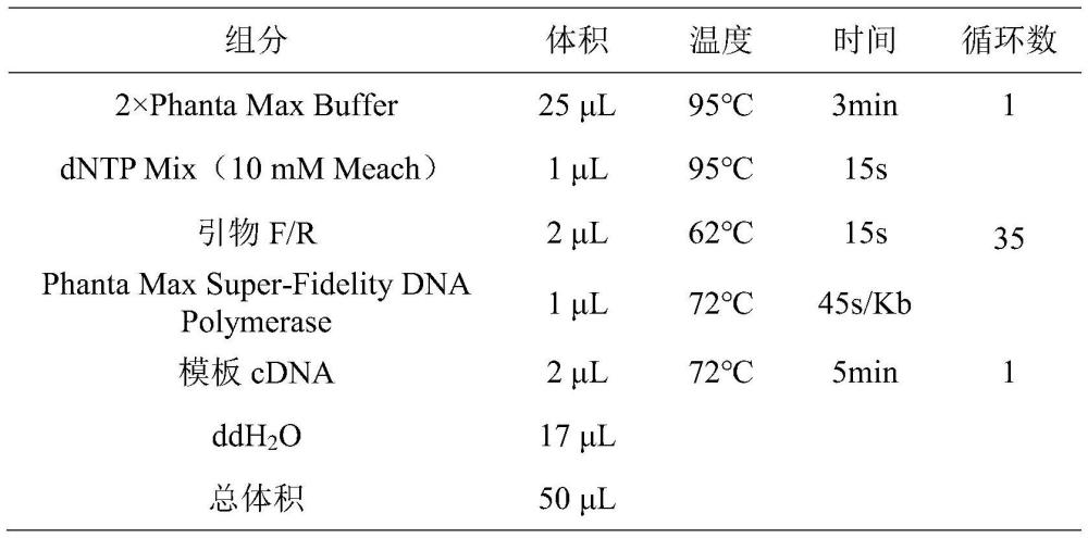 利用OfTPS6基因體外合成萜烯類(lèi)香氣物質(zhì)的制作方法