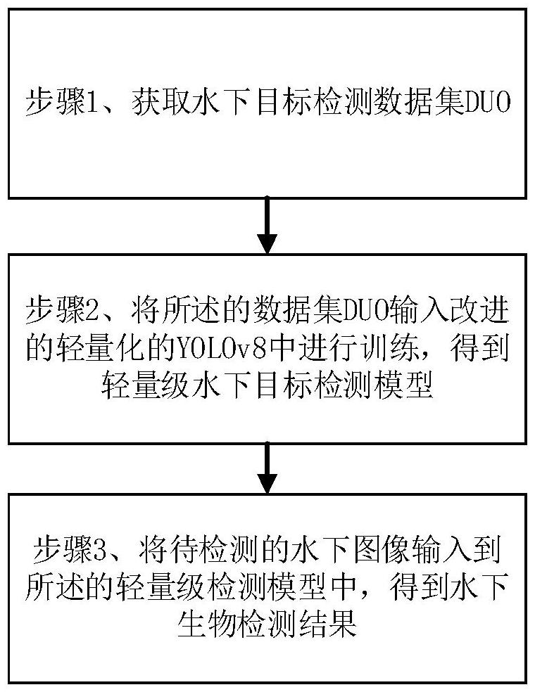 一種基于改進的YOLOv8輕量級模型的水下目標(biāo)檢測方法