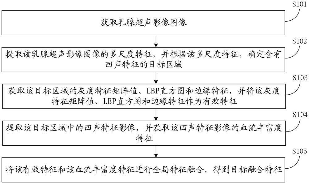 一種超聲影像的圖像特征提取方法、裝置、設(shè)備及介質(zhì)