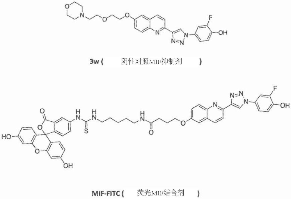 靶向循環(huán)蛋白的選擇性降解的雙功能小分子