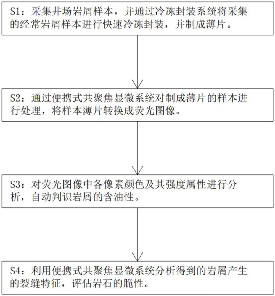 井場(chǎng)巖屑含油性和巖石脆性的快速激光掃描共聚焦圖像分析方法