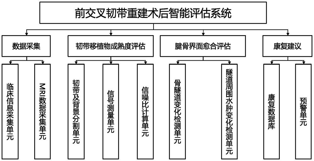 一種基于人工智能的前交叉韌帶重建術(shù)后智能評(píng)估系統(tǒng)