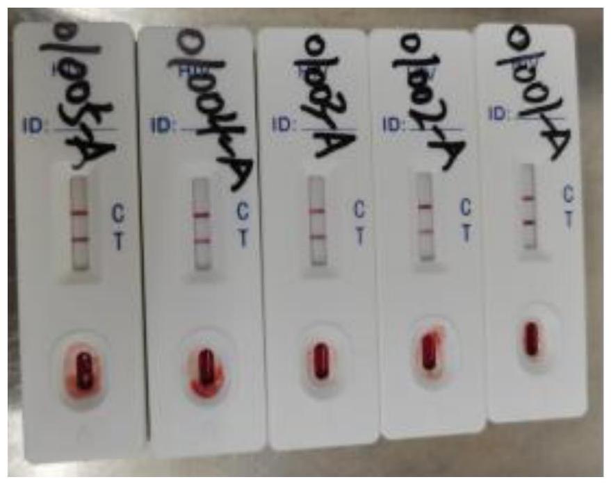 一種艾滋抗體檢測試劑盒的制作方法