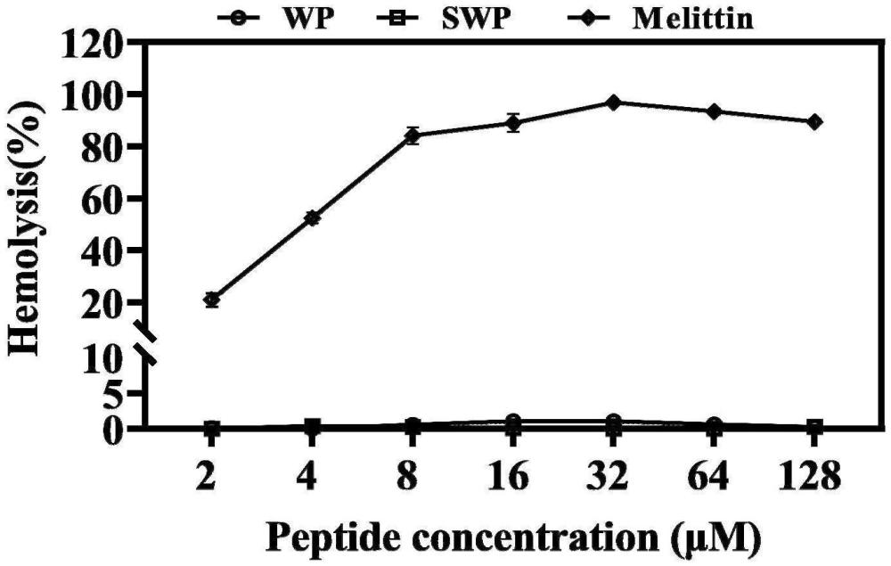 針對大腸桿菌的靶向抗菌肽SWP及其制備方法和應用