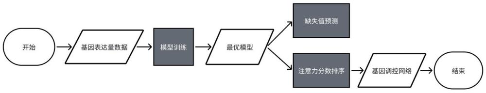 基于深度回歸算法的基因調控網(wǎng)絡的數(shù)據(jù)分析系統(tǒng)及方法