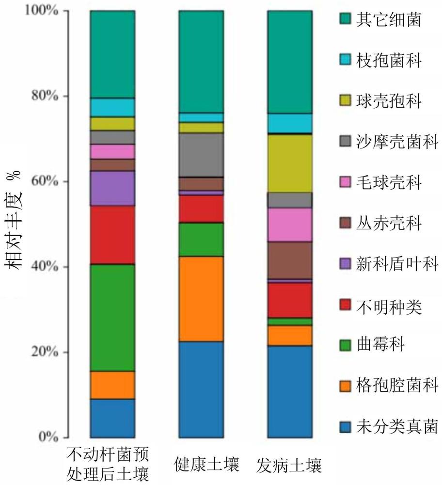 一種不動(dòng)桿菌、菌劑、植物促生長(zhǎng)劑、生物肥料和應(yīng)用的制作方法