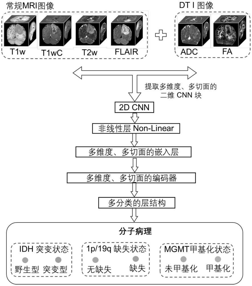 一種基于多模態(tài)全腦MRI的深度學(xué)習(xí)預(yù)測(cè)膠質(zhì)瘤多種分子病理的方法